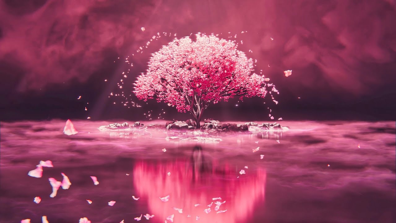 anime wallpaper