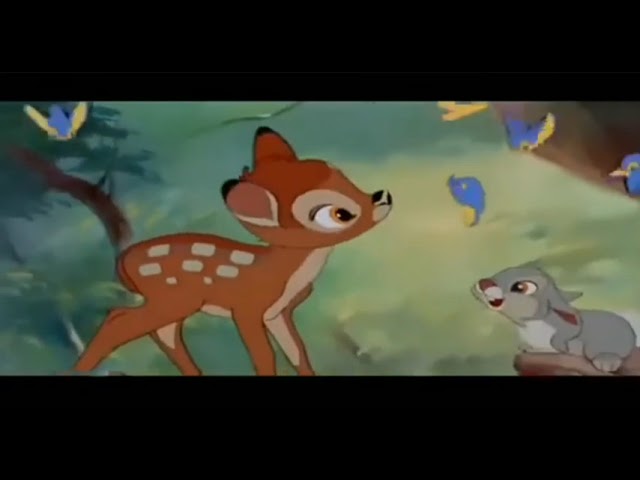 Bambi 7 ofullständiga sanningar du aldrig visste om filmen 2 bambi