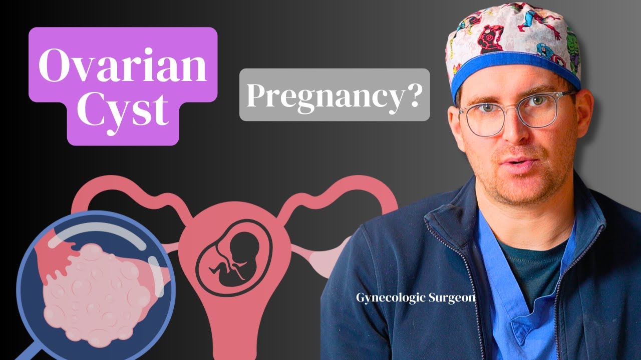cysta äggstock gravid