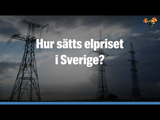 elpris just nu