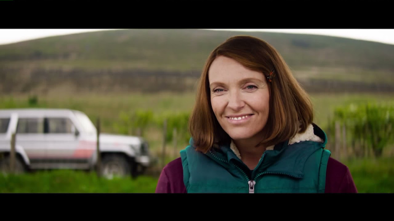 Filmer och tv-program med Toni Collette: 7 måsten för fans 3 filmer och tv-program med toni collette