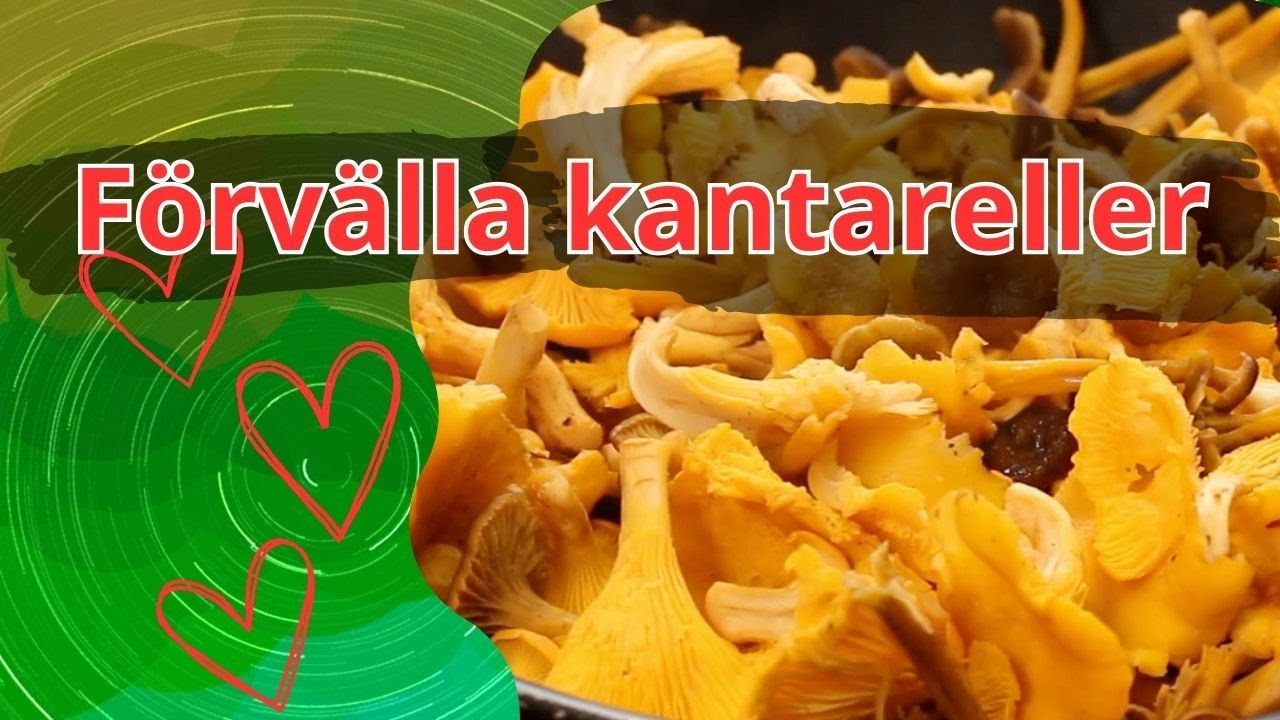 förvälla kantareller