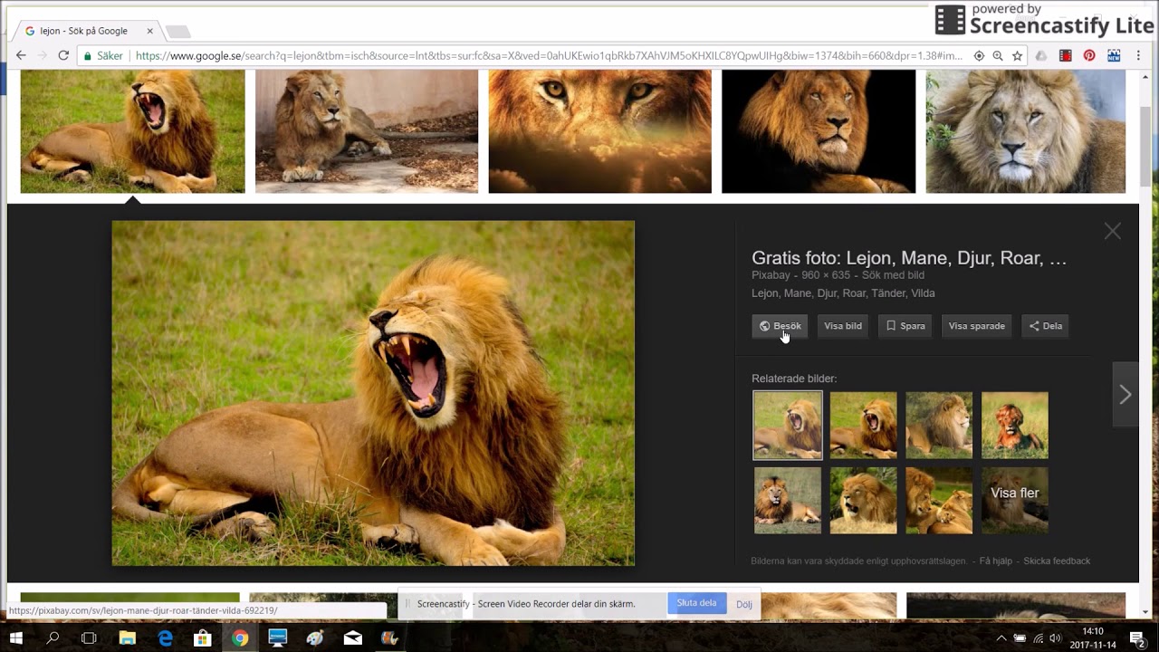 google bilder sök