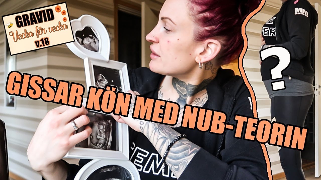 Nub teorin kön 7 fascinerande insikter om identitet 1 nub teorin kön
