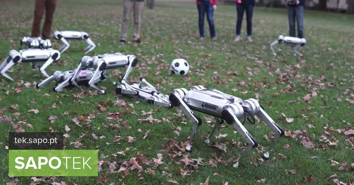 تقوم روبوتات Mini Cheetah من MIT بأداء "الأعمال المثيرة" وحتى تمكنها من أن تكون "لاعبي كرة"