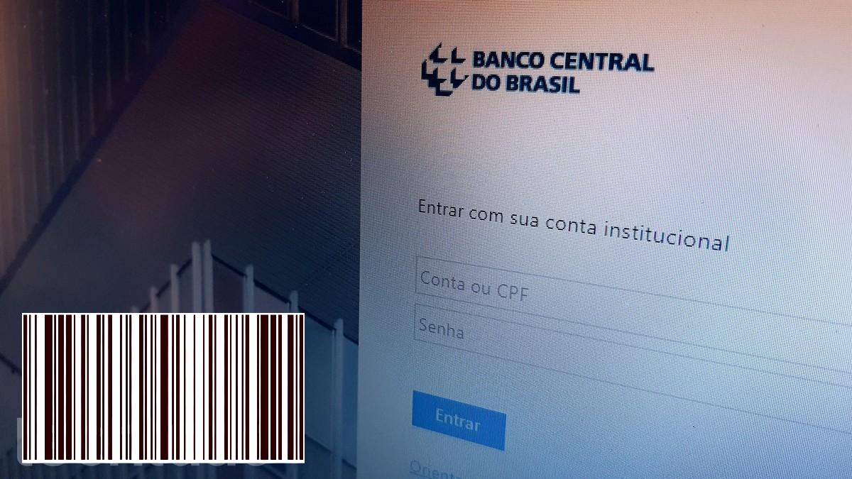 كيفية استشارة السجل مع البنك المركزي البرازيلي الإنتاجية