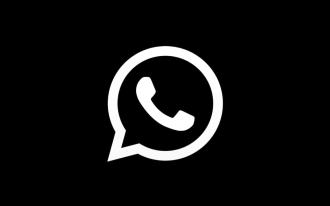 شعار Whatsapp منمق مع موضوع الظلام. المصدر: مطوري xda