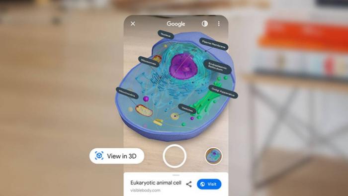 6 ساعات
تطبيقات

يضيف Google العديد من العناصر ثلاثية الأبعاد الجديدة للبحث باستخدام الواقع المعزز