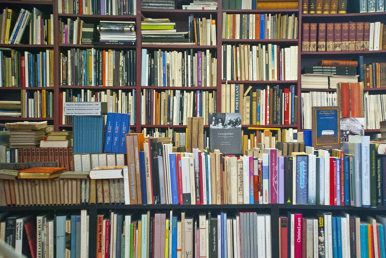 10 Ejemplos de Bibliografía: Cómo Citas Correctamente bibliografia