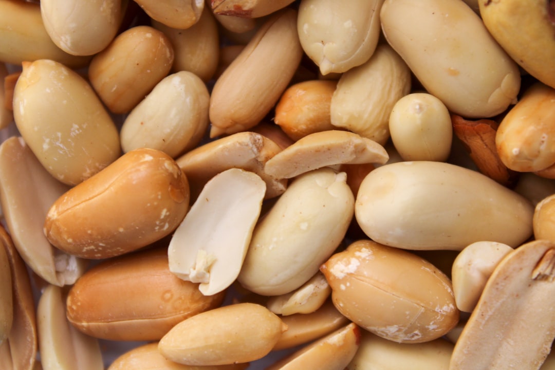 10 Recetas Deliciosas con Cacahuetes: Aprende a Disfrutar de Este Excelente Snack cacahuete