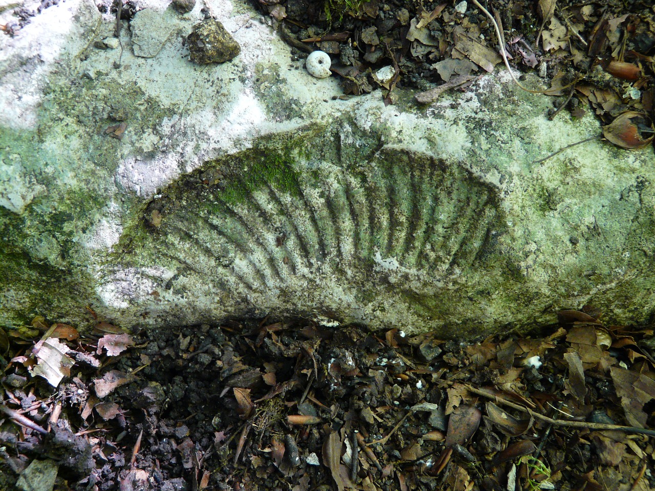 5 Beneficios de Utilizar Caliza en la Construcción 4 5 Beneficios de Utilizar Caliza en la Construcción caliza