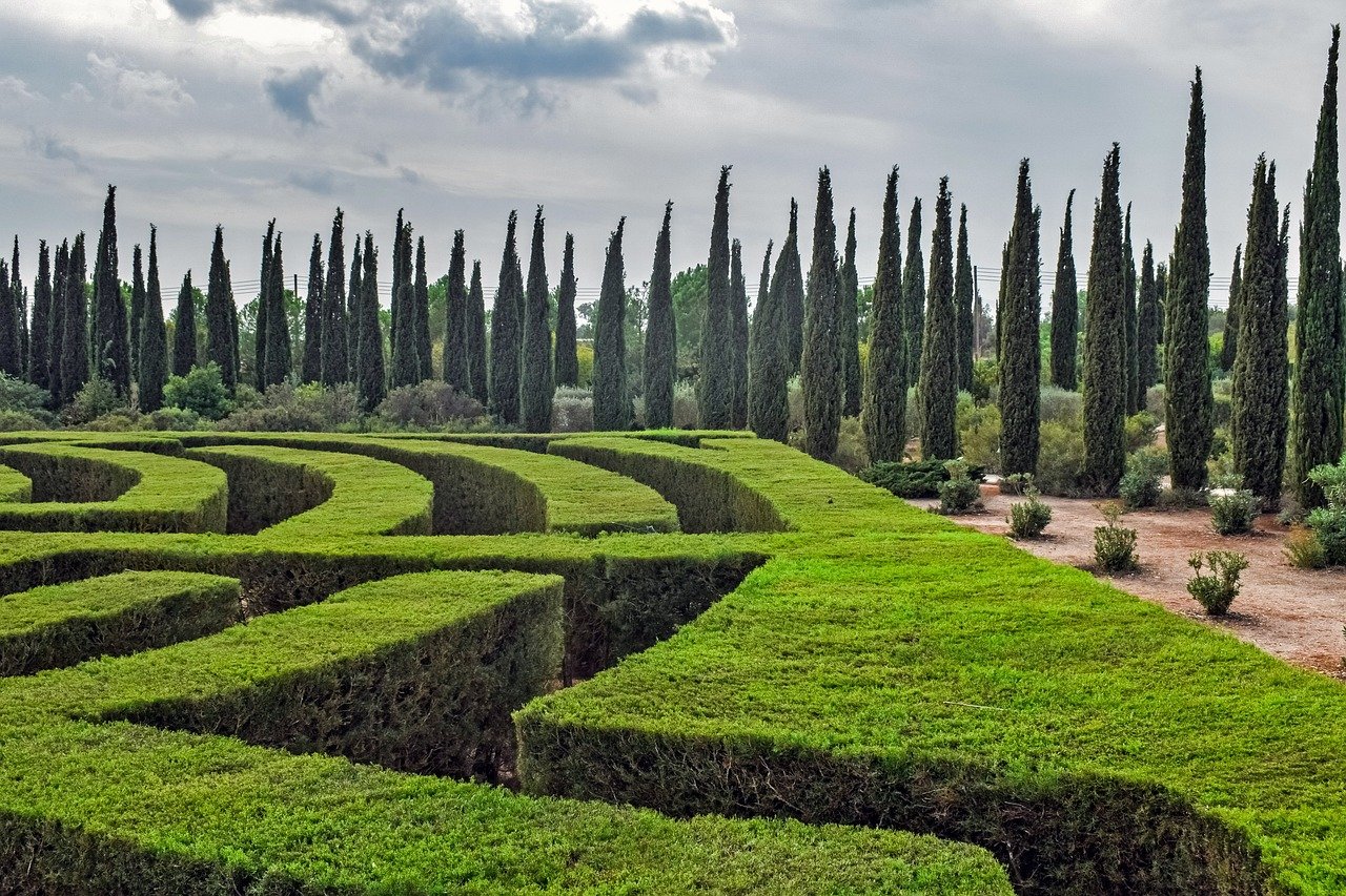 10 increíbles variedades de ciprés: descubre las mejores especies para tu jardín 1 10 increíbles variedades de ciprés: descubre las mejores especies para tu jardín cipres