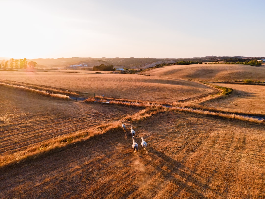 5 Razones por las que Comares es el Destino Perfecto para tus Vacaciones 4 5 Razones por las que Comares es el Destino Perfecto para tus Vacaciones comares