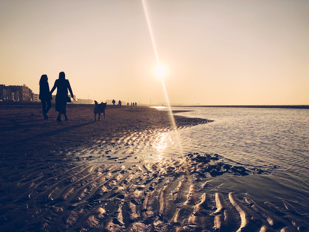 5 Razones por las que Debes Visitar Dunkerque en tus Próximas Vacaciones dunkerque