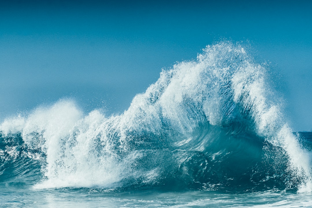 El Viejo y el Mar: 5 Claves para Entender la Obra Maestra de Hemingway 2 El Viejo y el Mar: 5 Claves para Entender la Obra Maestra de Hemingway el viejo y el mar