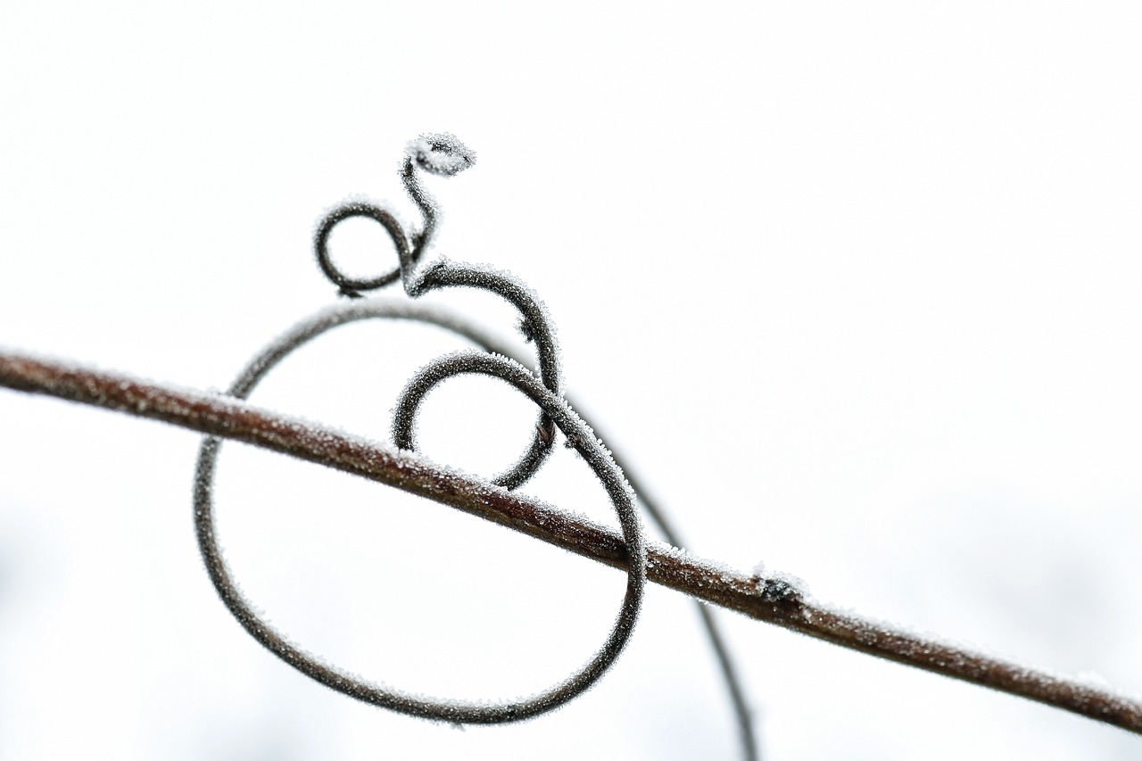 5 Consejos para Sobrevivir al Invierno con la Sensación Gelida gelida