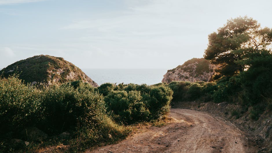 3 Consejos para Aumentar tus Posibilidades de Ganar en la Primitiva gordo primitiva