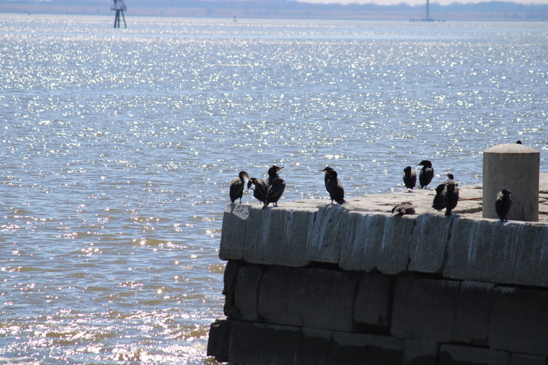 10 Datos Curiosos sobre los Gusanos de Seda: Guía Completa 3 10 Datos Curiosos sobre los Gusanos de Seda: Guía Completa gusanos de seda