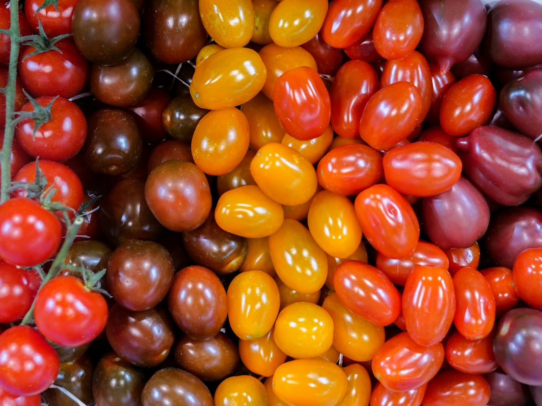 5 hortalizas imprescindibles para tu huerto doméstico hortalizas