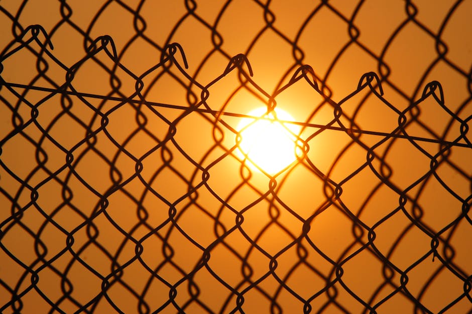 Iron Fist: 5 Strategies for Mastering the Keyword Iron Fist iron fist