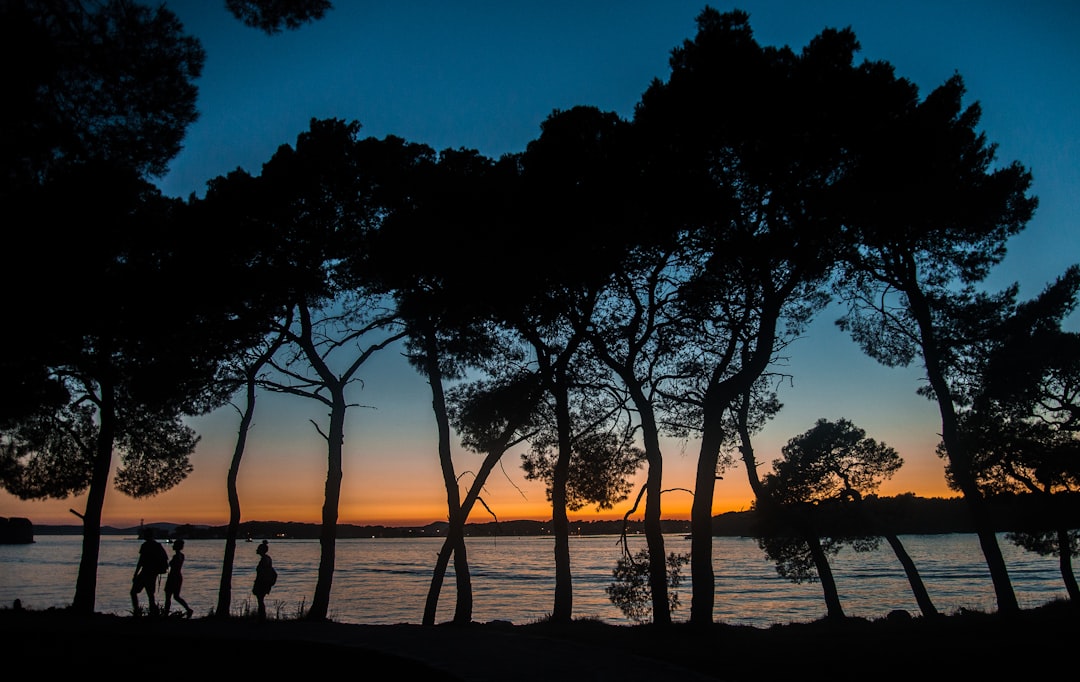 Love Island: 5 Razones para Seguir Este Reality Show love island