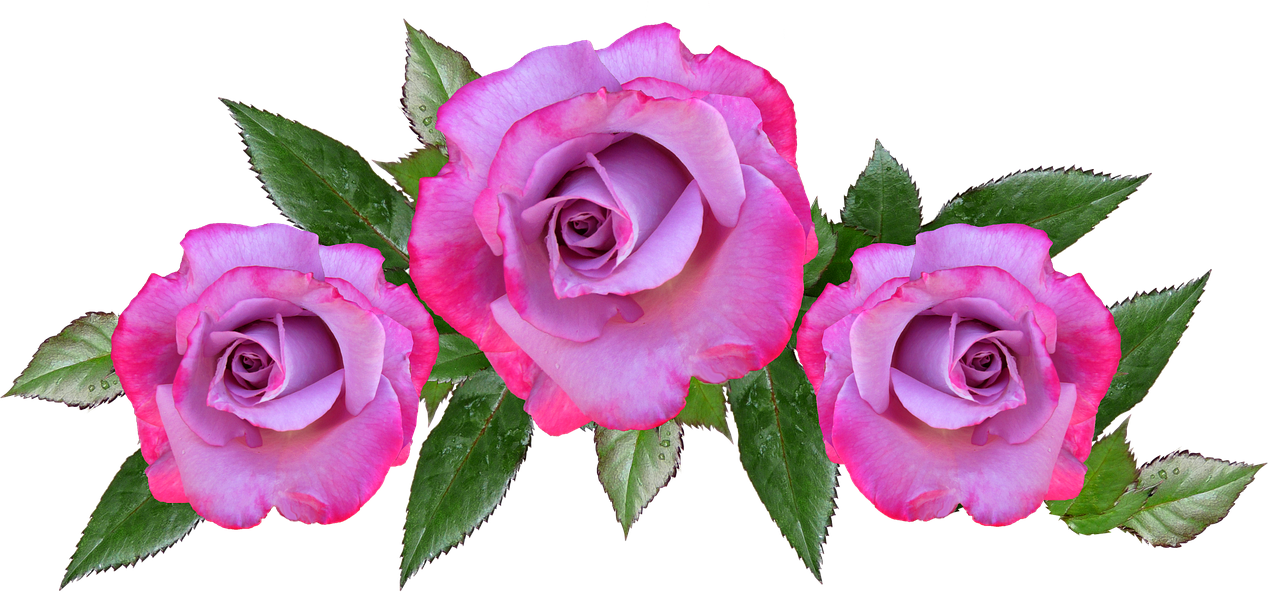 5 increíbles usos del color malva para tu hogar malva