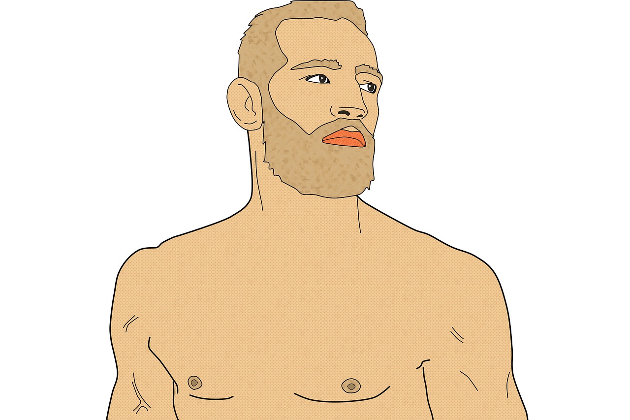 5 Razones Por las que McGregor es un Referente en las Artes Marciales mcgregor