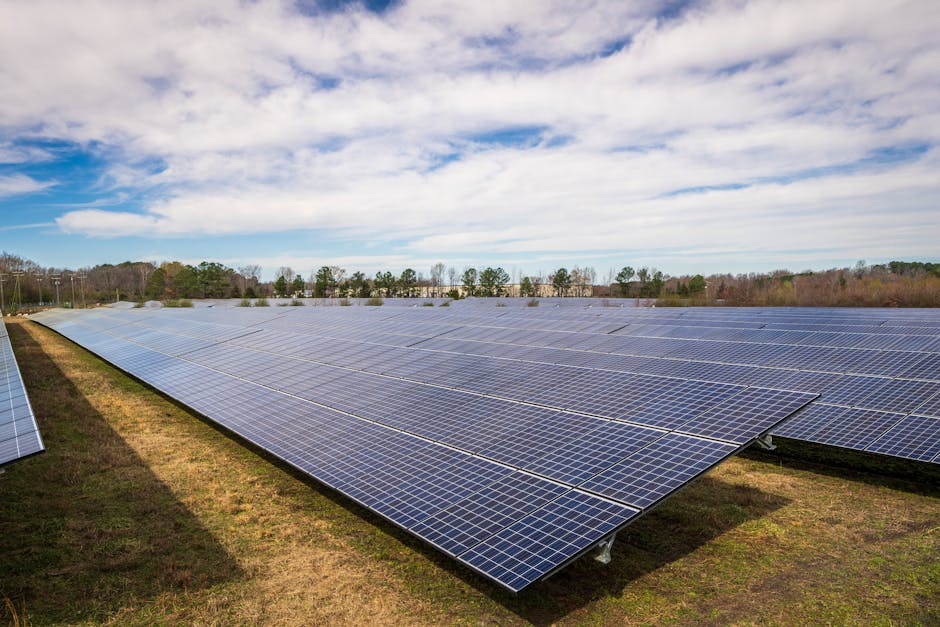 10 Mejores Protectores Solares: ¿Cuál es el ideal para ti? 3 10 Mejores Protectores Solares: ¿Cuál es el ideal para ti? mejores protectores solares