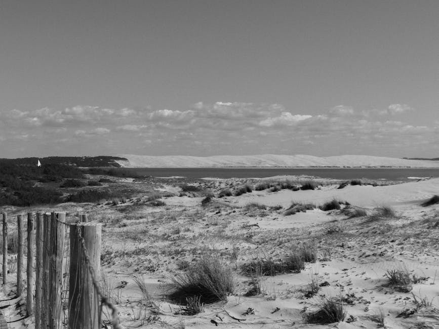 6 Datos Sorprendentes sobre los Monos: Descubre más sobre esta fascinante especie 1 6 Datos Sorprendentes sobre los Monos: Descubre más sobre esta fascinante especie mono