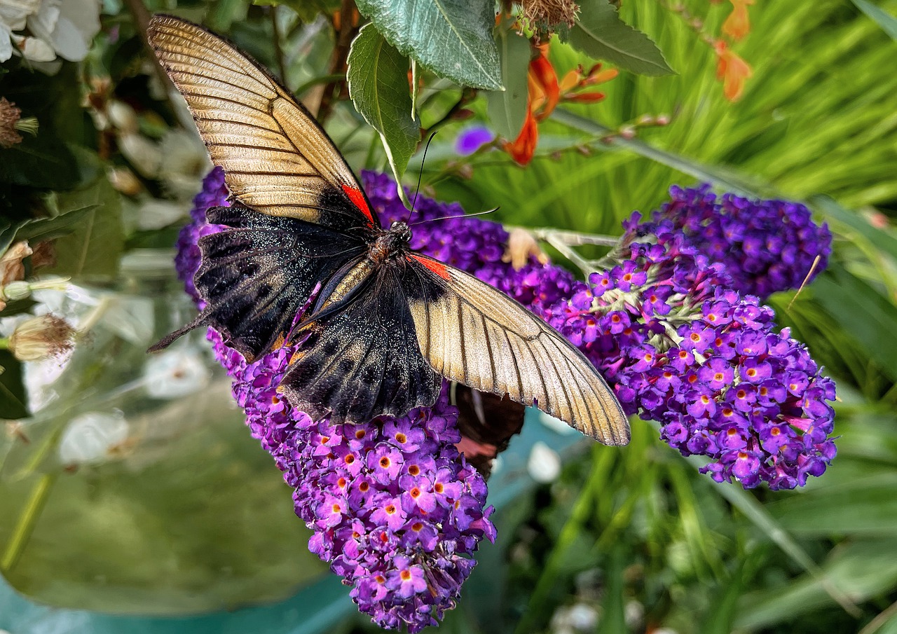 10 datos clave sobre la fe mormon mormon