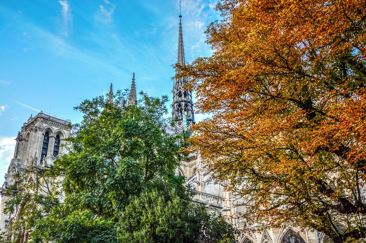 Top 5 Curiosidades sobre Notre Dame: Historia, Restauración y Más notre dame