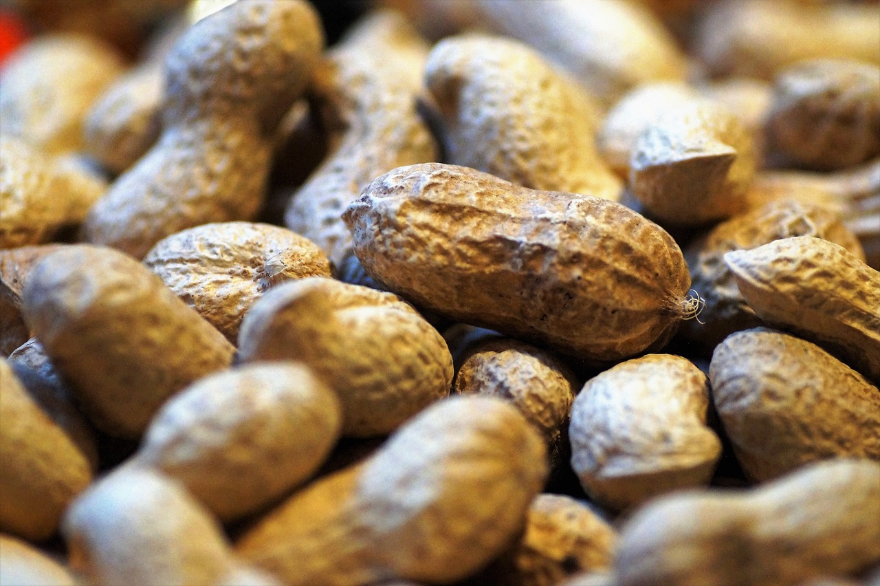 10 Deliciosas Recetas con Nuez para Disfrutar en Casa nuez