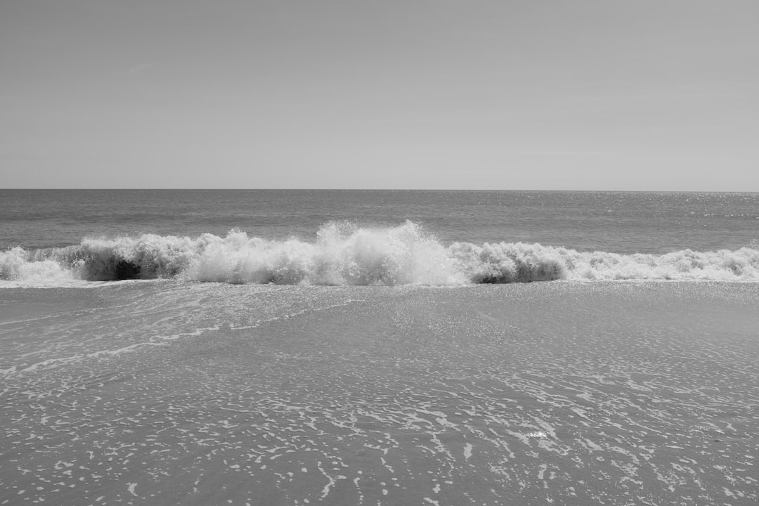 10 Películas de Elizabeth Banks que Debes Ver peli­culas de elizabeth banks