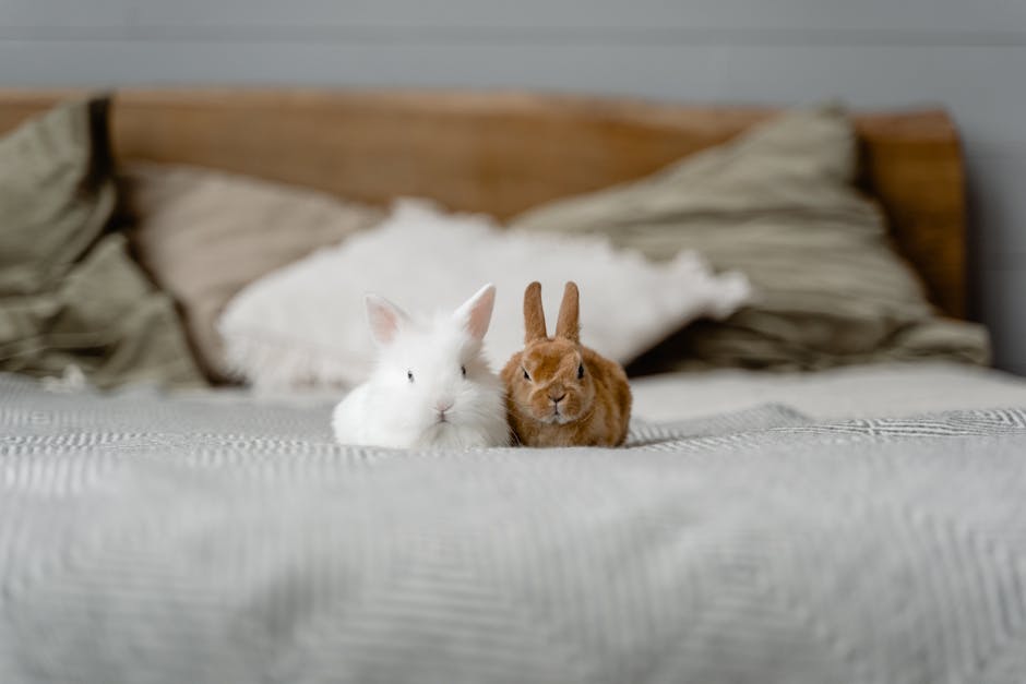 7 Razones por las que Peter Rabbit es el Cuento Favorito de Todos 1 7 Razones por las que Peter Rabbit es el Cuento Favorito de Todos peter rabbit