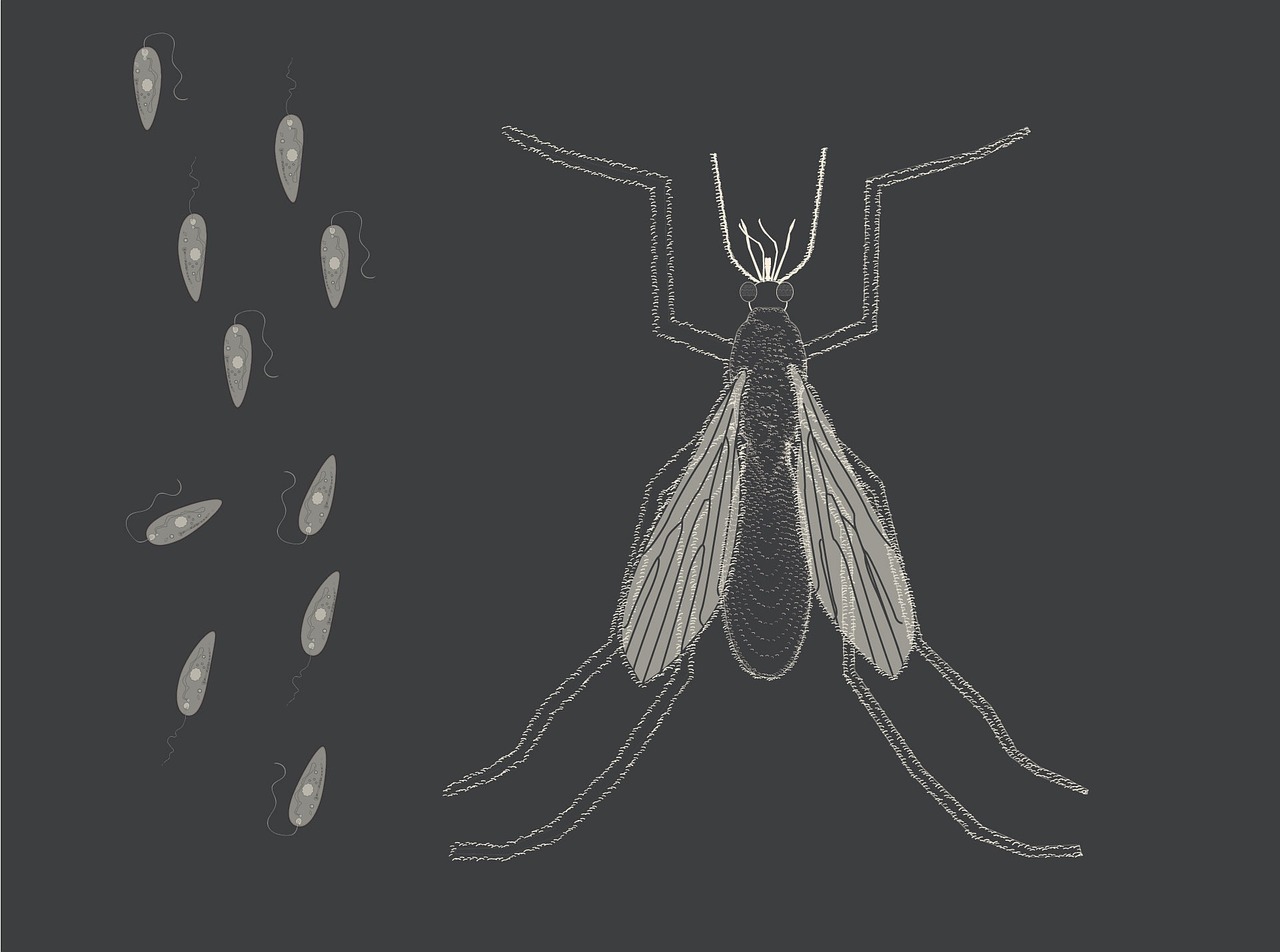 Protozoos: 10 Datos Sorprendentes sobre estas Criaturas Microscópicas 5 Protozoos: 10 Datos Sorprendentes sobre estas Criaturas Microscópicas protozoos
