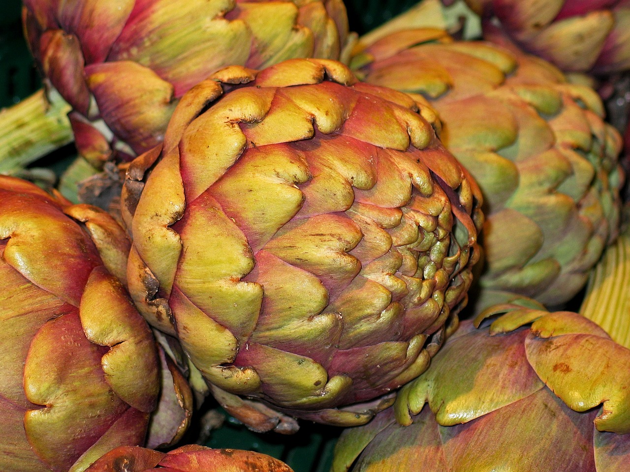 10 deliciosas recetas de alcachofas para sorprender receta alcachofas