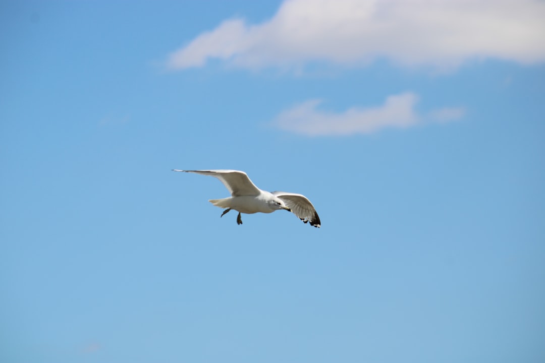 12 formas divertidas de enseñar las tablas de multiplicar 1 12 formas divertidas de enseñar las tablas de multiplicar tablas de multiplicar