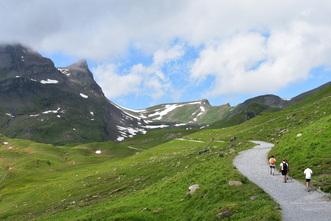Gellert  grindelwald