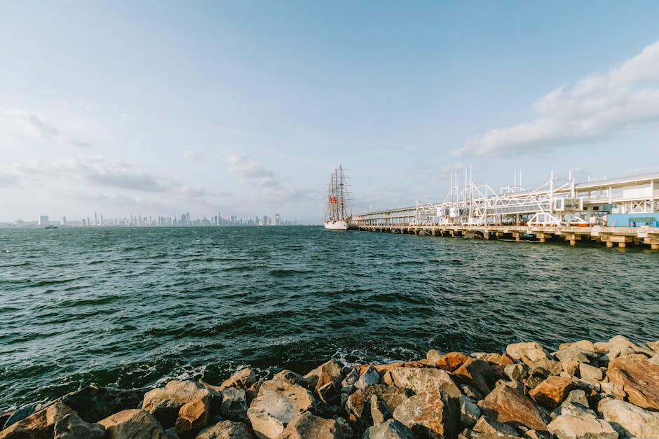 5 razones para elegir logitravel cruceros 4 5 razones para elegir logitravel cruceros logitravel cruceros