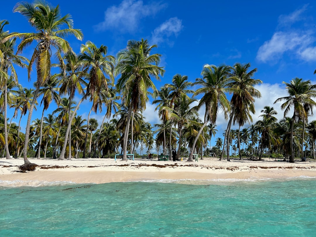 5 razones para visitar Saona: Un paraíso caribeño saona