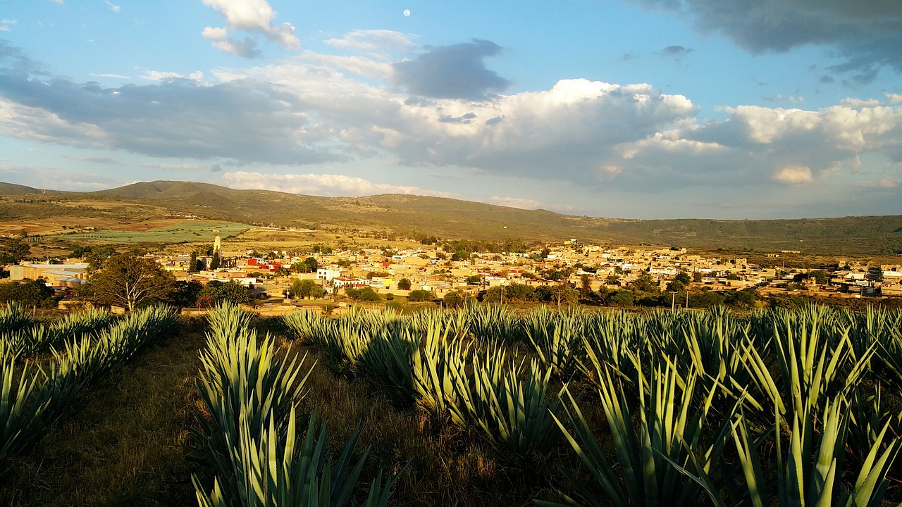 5 deliciosas recetas de tequila para sorprender a tus invitados tequila