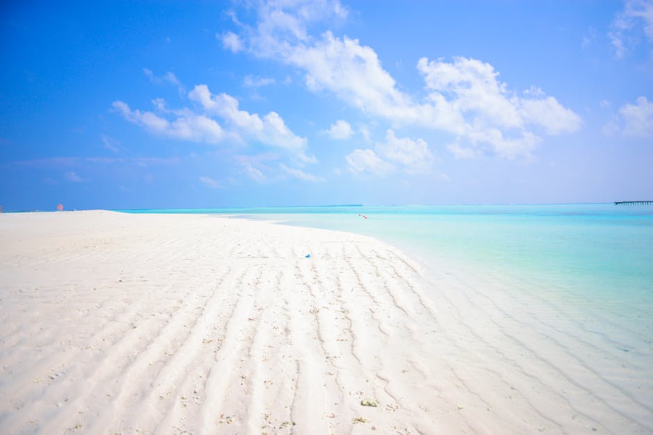 5 Razones para unirse a un Travel Club: ¡Beneficios exclusivos te esperan! 1 5 Razones para unirse a un Travel Club: ¡Beneficios exclusivos te esperan! travel club