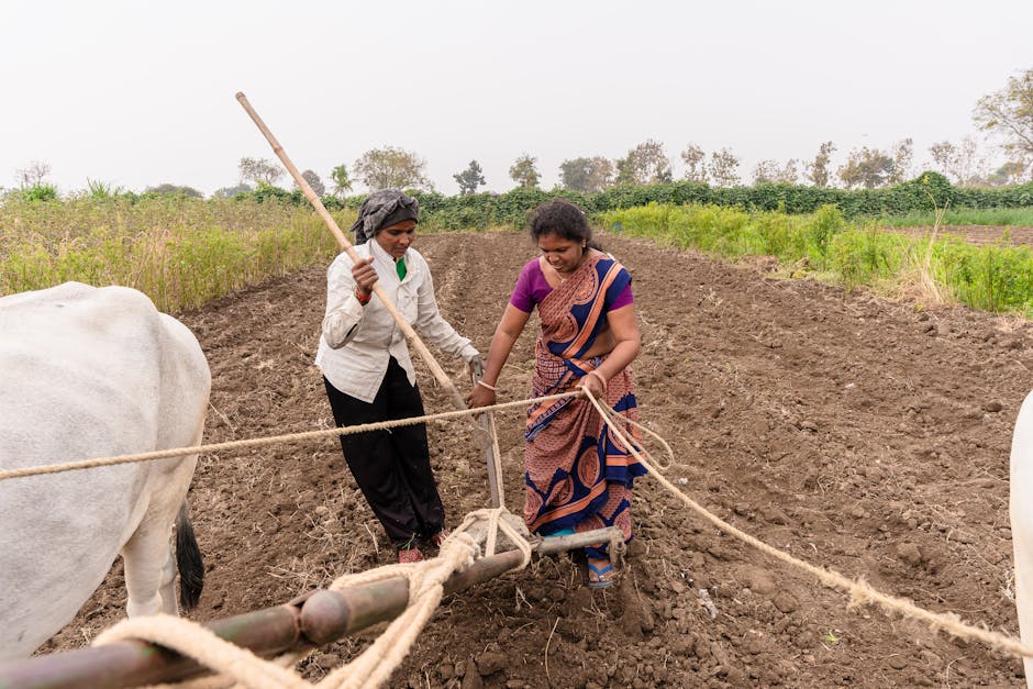 Tyler Rake: Descubre 5 Secretos del Personaje clave 1 Tyler Rake: Descubre 5 Secretos del Personaje clave tyler rake