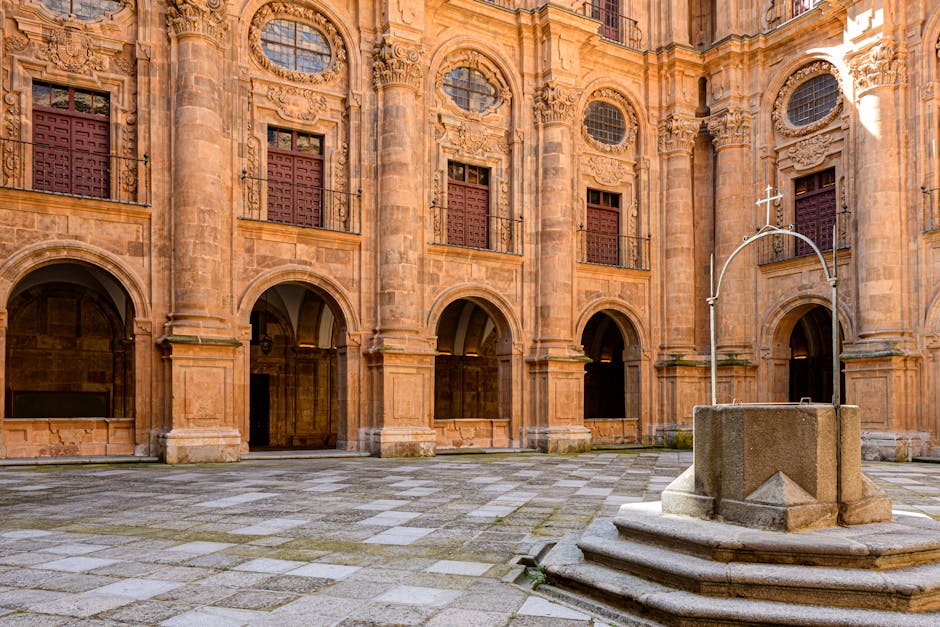 Universidad de Cádiz: 5 razones para elegirla 5 Universidad de Cádiz: 5 razones para elegirla universidad de cadiz