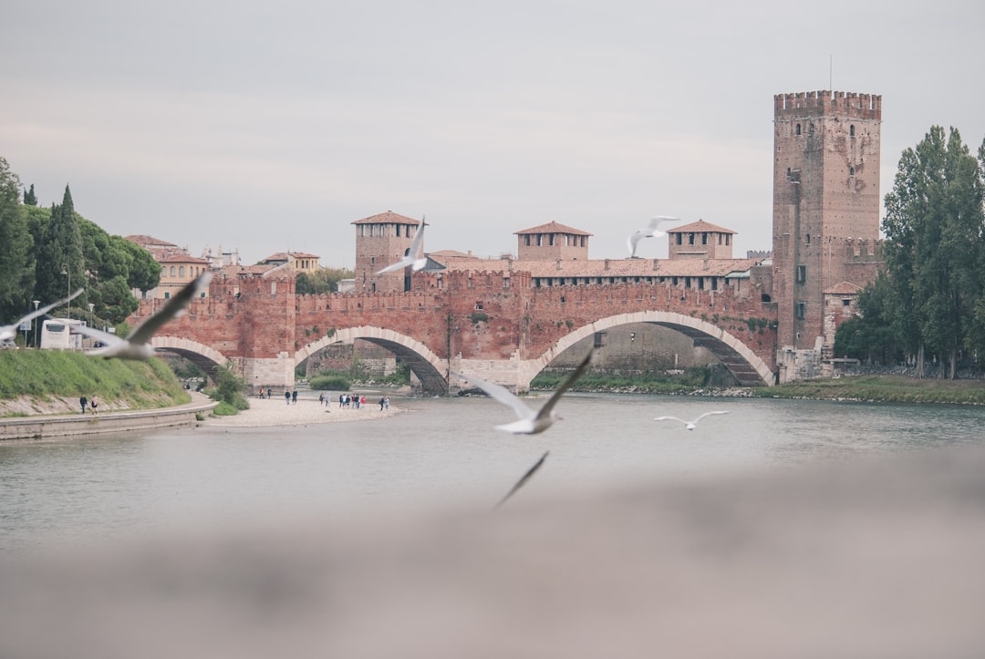 5 Consejos para Descubrir Verona: La Joya de Italia verona