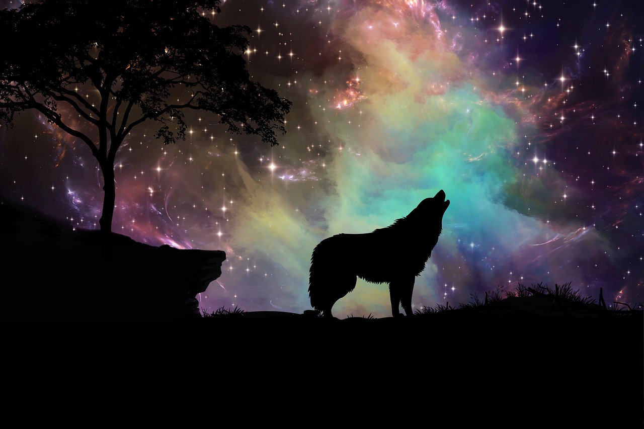 15 Fascinantes Datos sobre Wolf que Desconocías 4 wolf