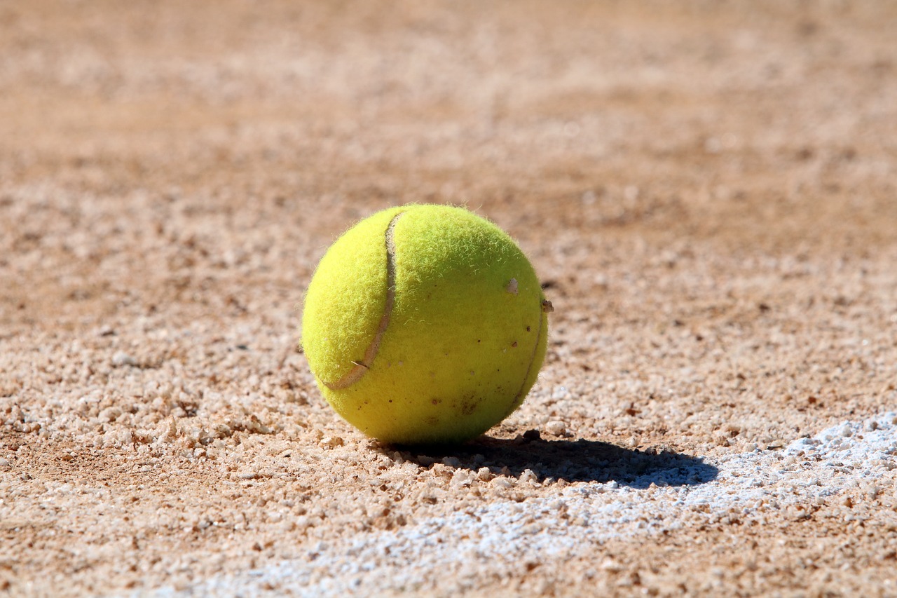 alcaraz tenis