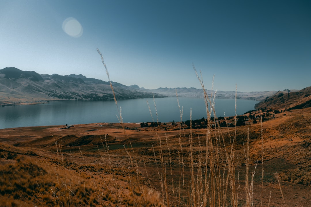 Arroz con bogavante: 5 secretos para lograr un sabor increíble 5 arroz con bogavante