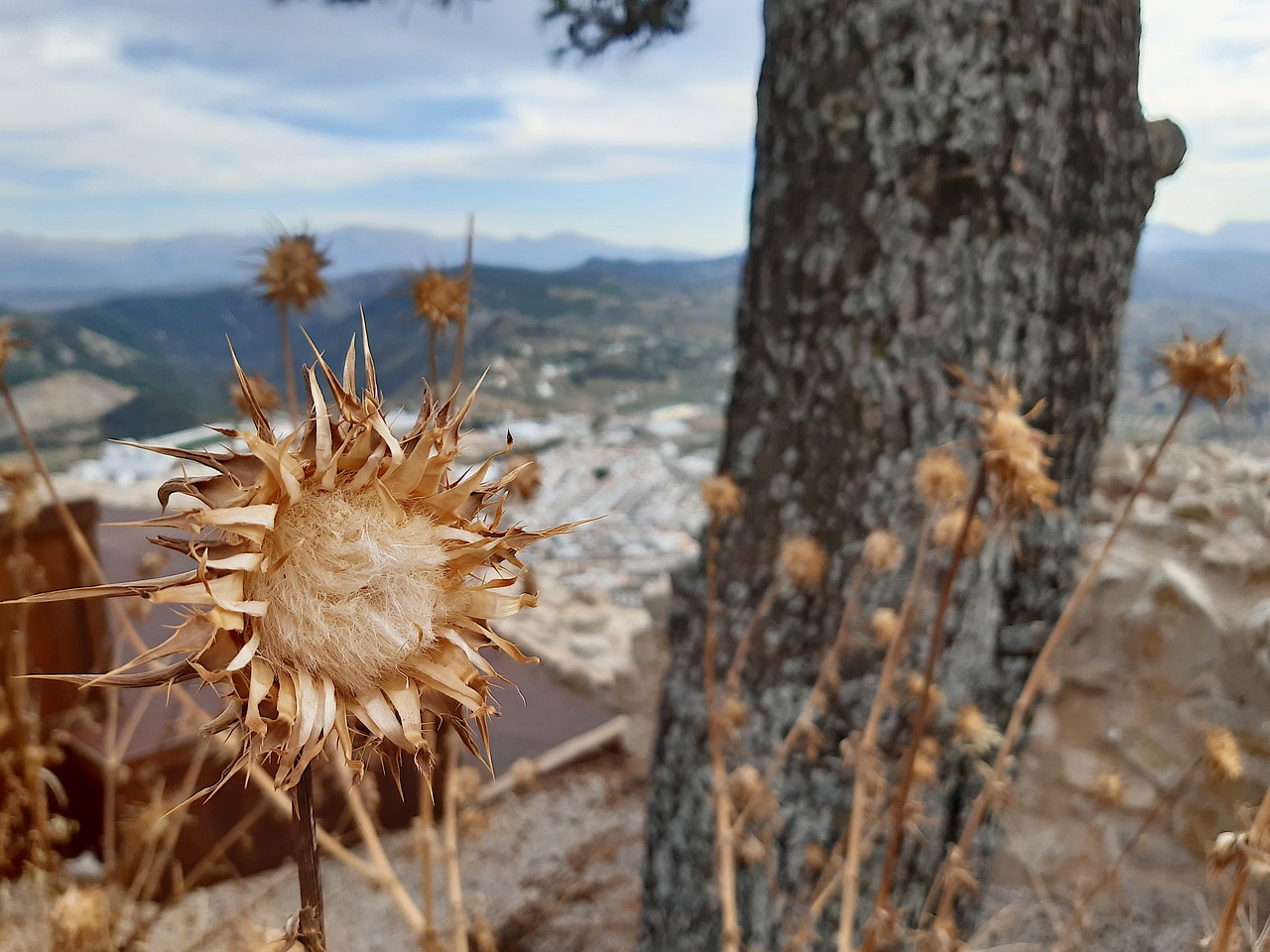 Beatriz Archidona: 7 claves para impulsar tu marca personal 5 beatriz archidona