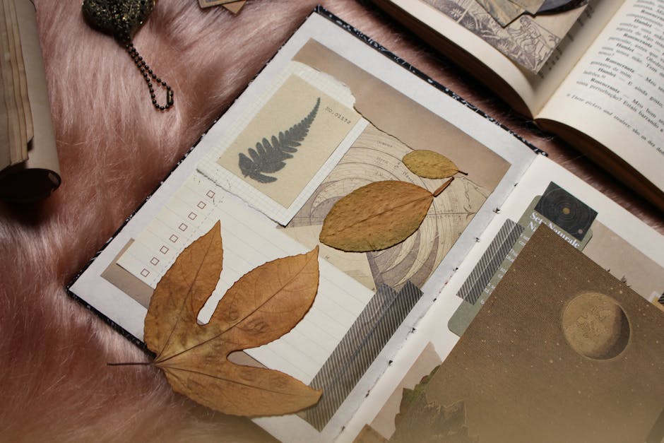 Bullet journal: 7 ideas creativas para personalizar tu agenda 4 bullet journal